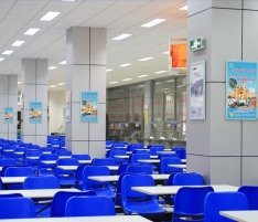 ƽ�ɽ�W(xu��)Ժʳ��